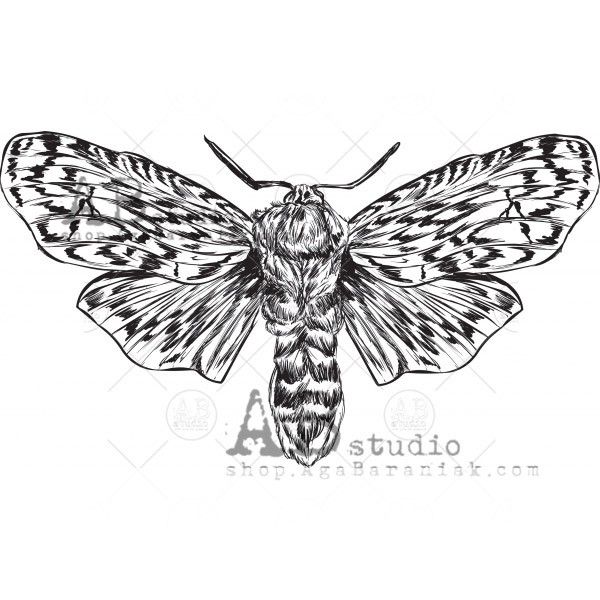 AB Studio Rubber Stamp id-881 Moth