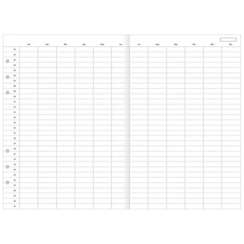 Filofax Clipbook & Organiser Navulling A5 - Jaarplanner