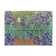 Paperblanks Van Gogh Irises Documenten Map