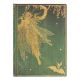 Paperblanks Lang’s Fairy Books Olive Fairy Midi - Gelinieerd